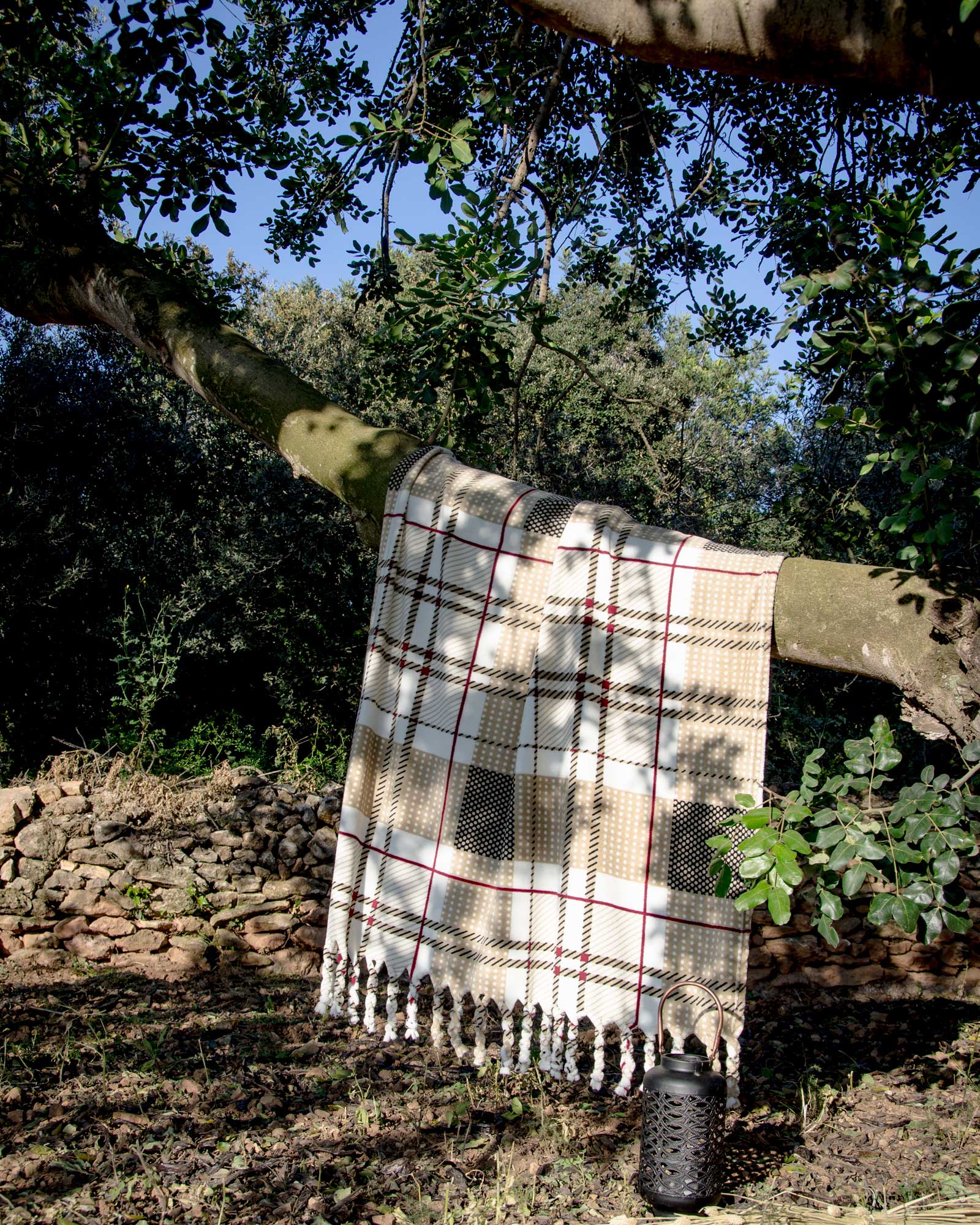 manta bosque