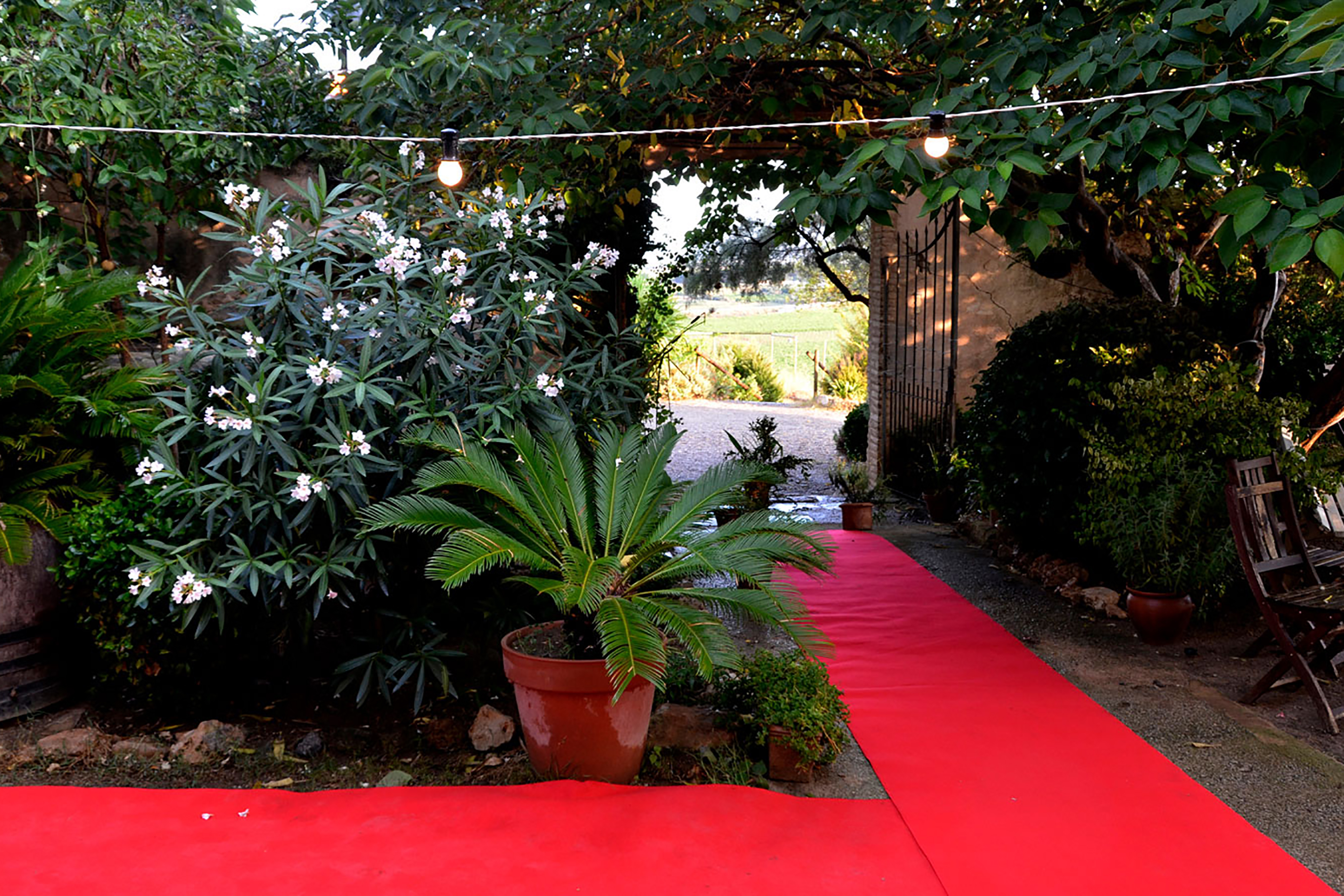 jardin